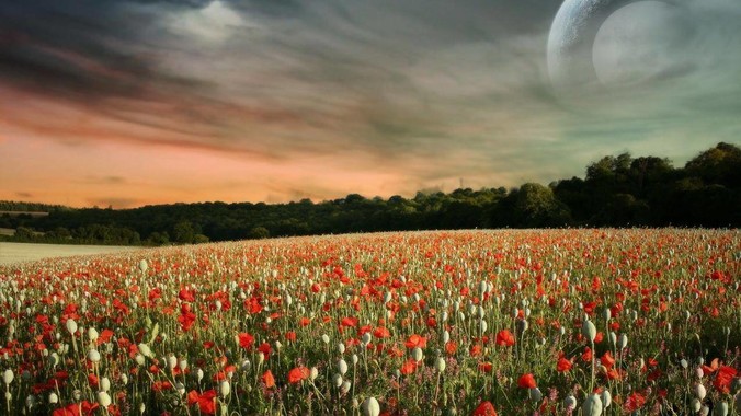 你最满意的10款 PC 软件是什么？